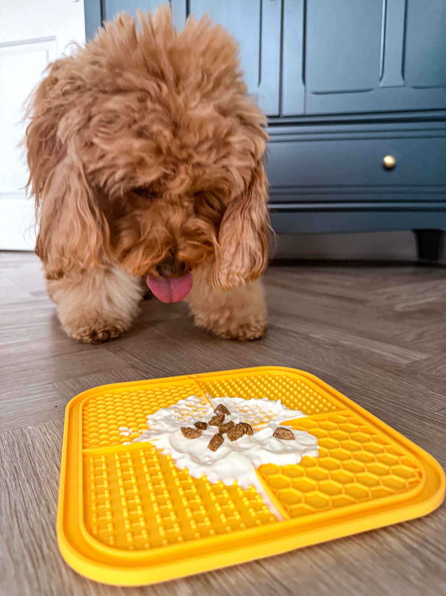 The Leah Smith collection pet lick mat