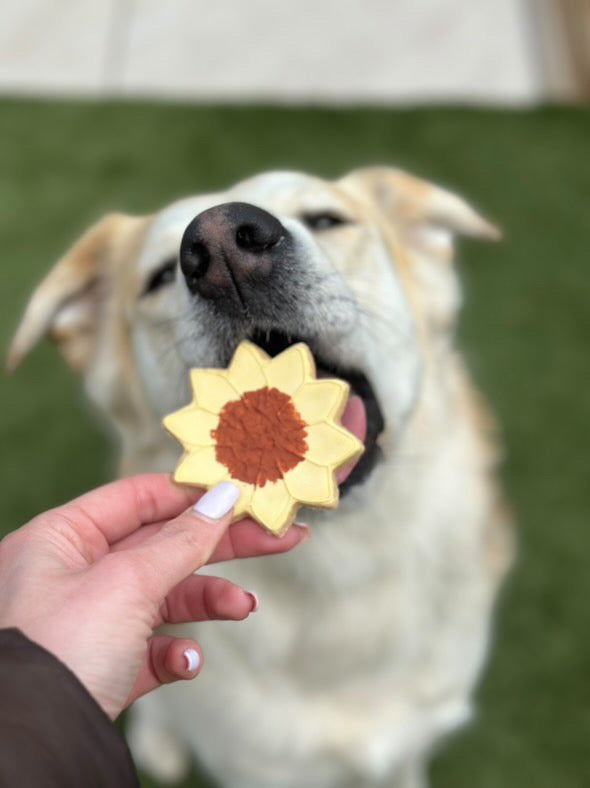 The Leah smith collection dog biscuit made by the coffee dog company