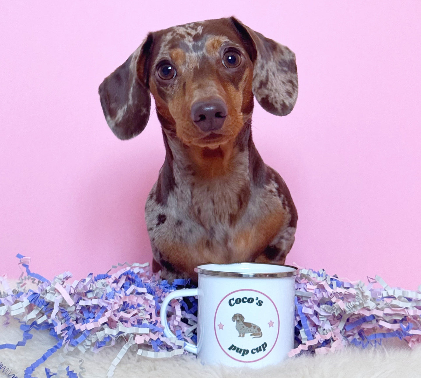 Large dog pup cup