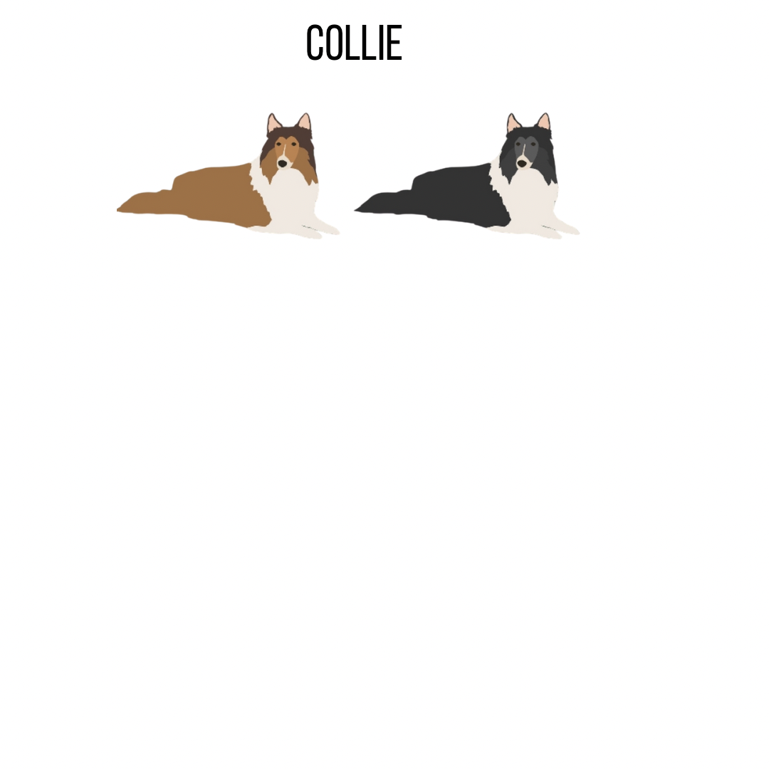 Custom breed dog coaster