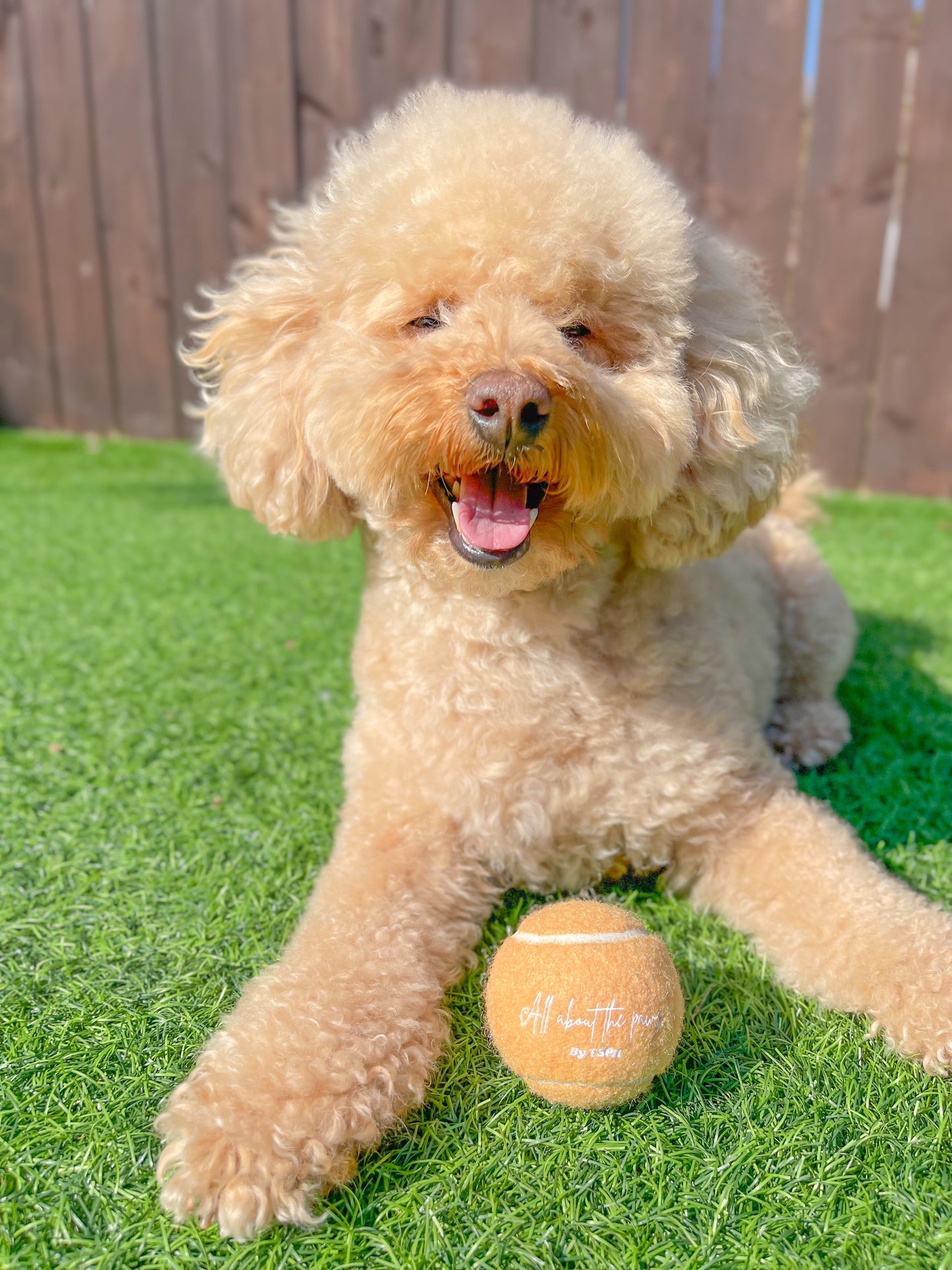 The Leah Smith collection, all about the paws by TSPH dog tennis ball