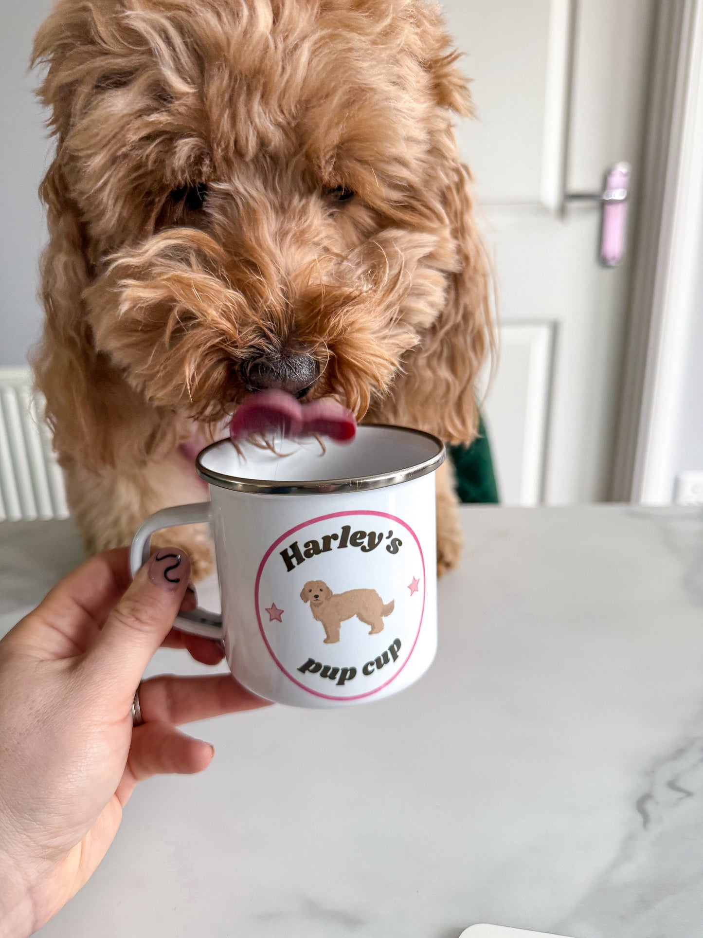 Large dog pup cup