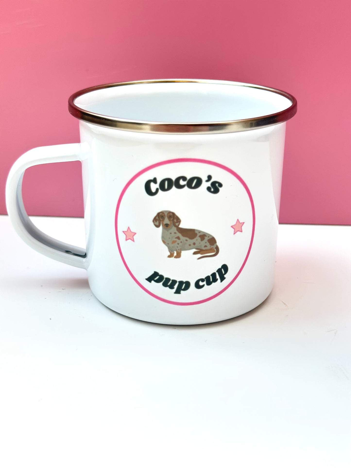 Large dog pup cup
