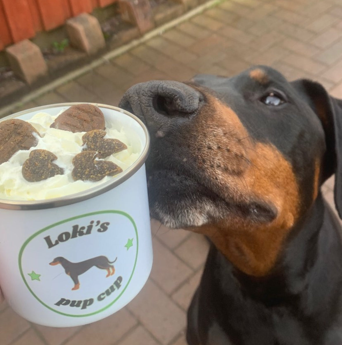 Large dog pup cup