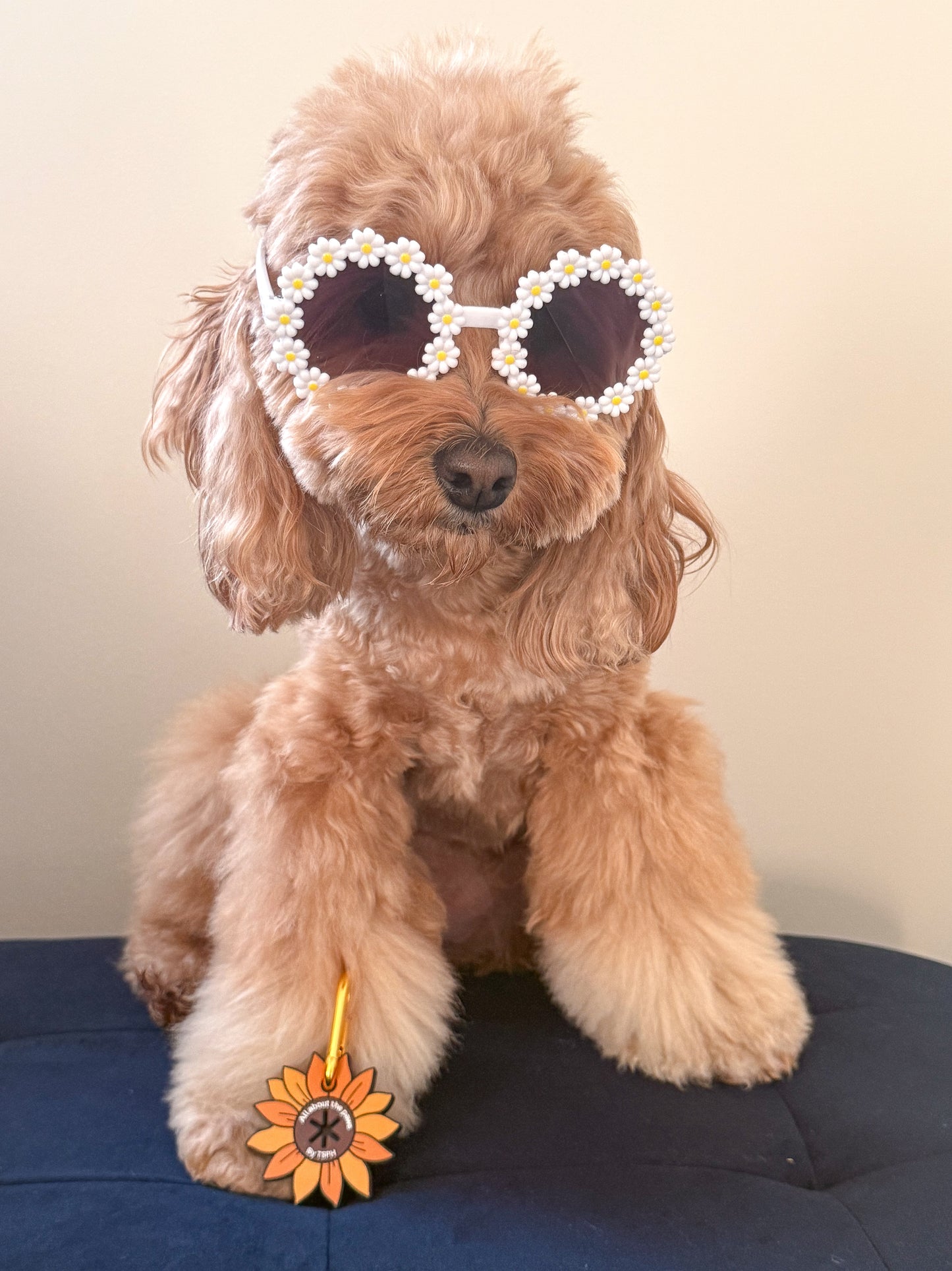 The Leah Smith poop pockets