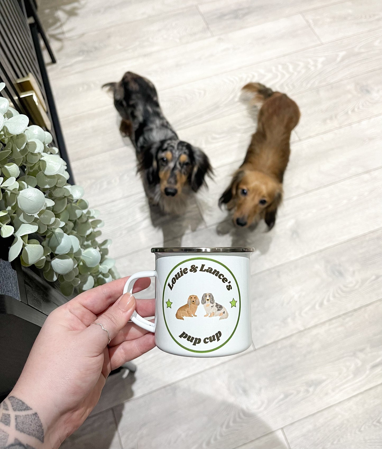 Large dog pup cup