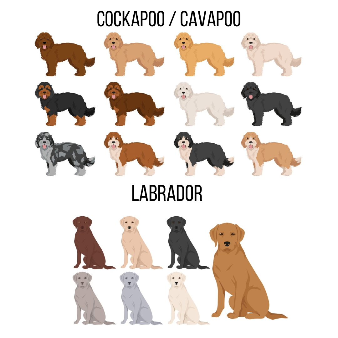 Large dog pup cup