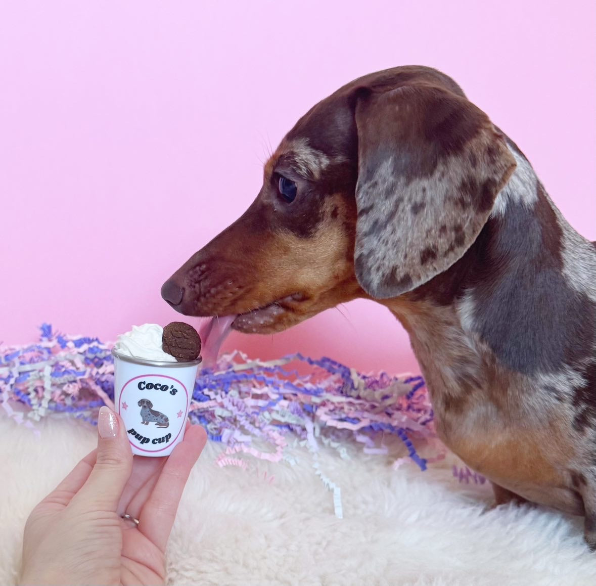 Mini pup cups