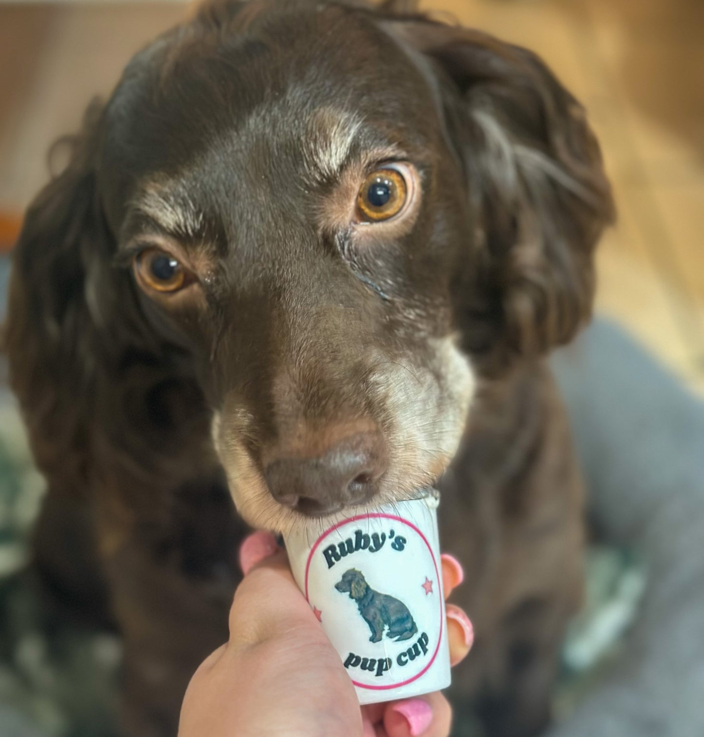 Mini pup cups