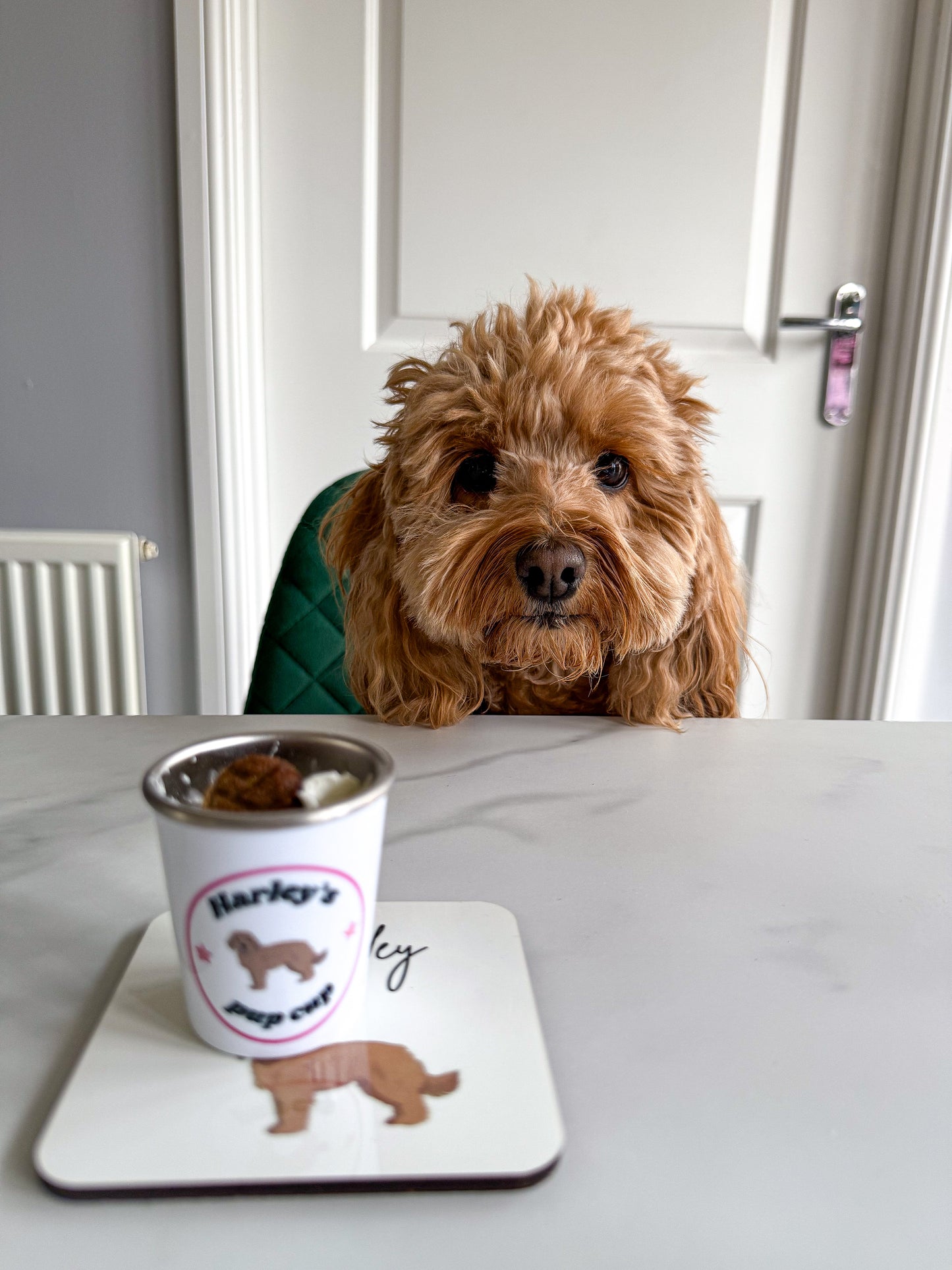 Mini pup cups