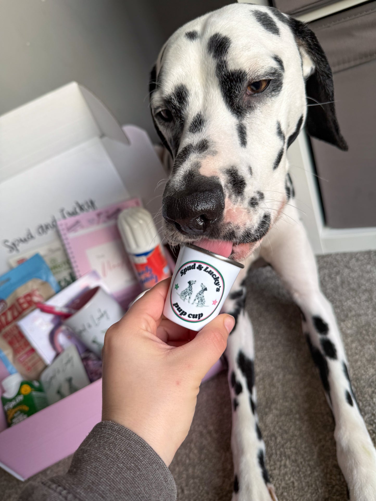 Mini pup cups